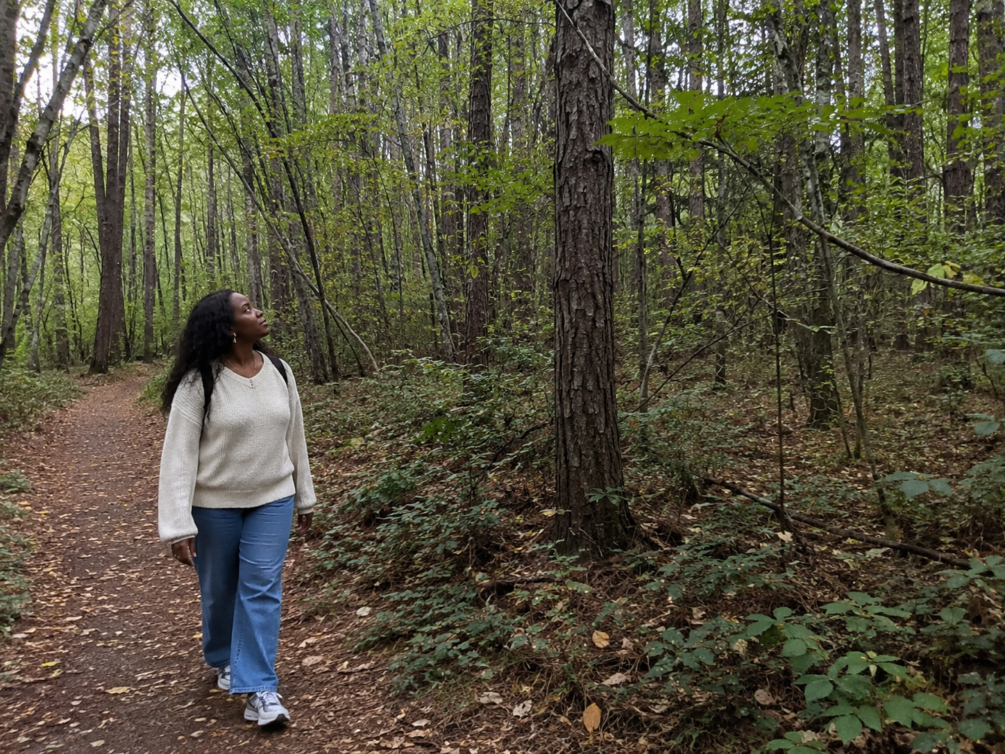 Shinrin-Yoku — Forest Bathing