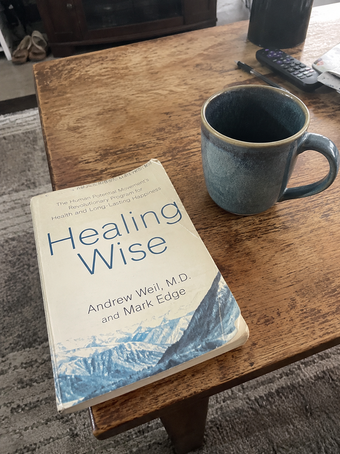 The Healing Wisdom of Africa