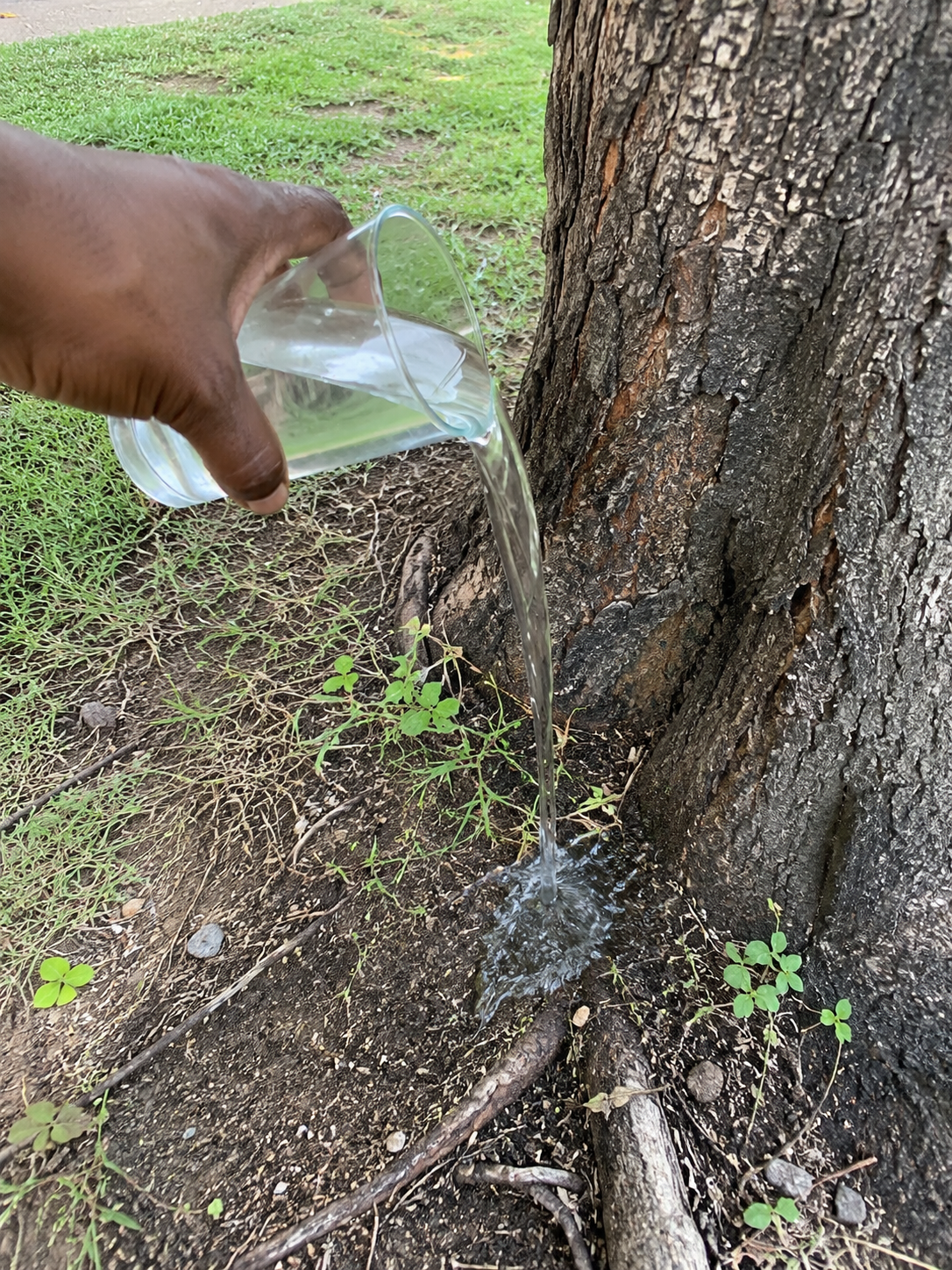 Libation: Spilling Water as Prayer