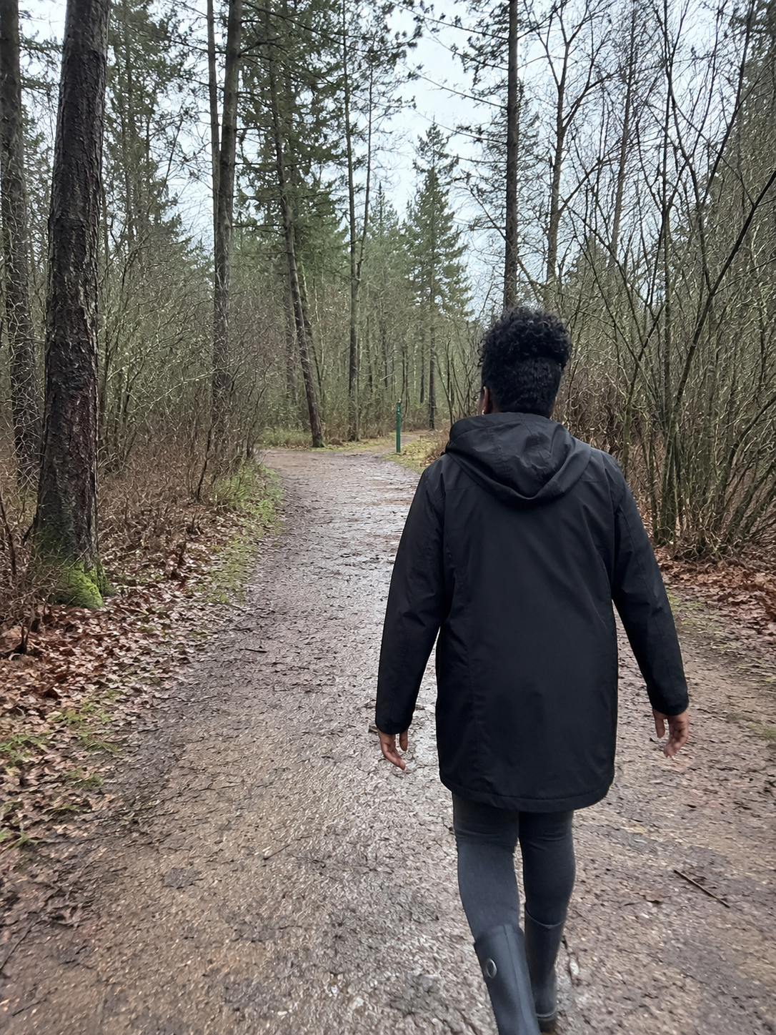 Laying Down Our Burdens: Womanist Wilderness